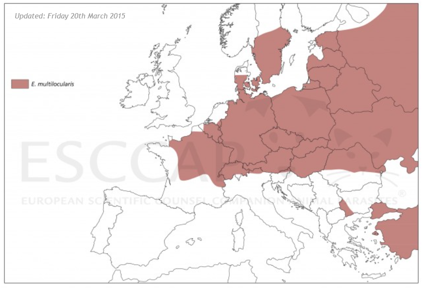 Verspreiding van de vossenlintworm in Europa (Escapp)