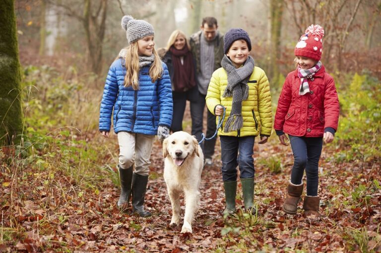 Wanneer is een hond volwassen? Dierapotheker.nl