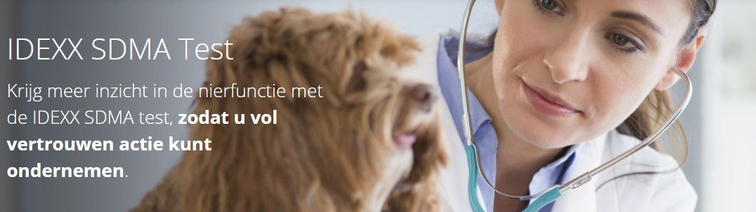 De SDMA test voor de nierfunctie van honden