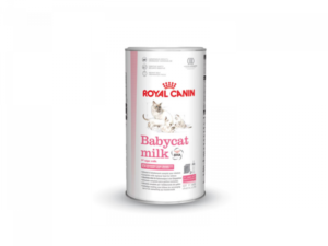Baby Milk van Royal Canin voor een gezonde start van uw kitten