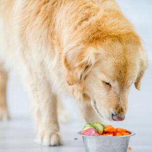 Een hond mag inderdaad komkommer eten. Een calorie arme snack