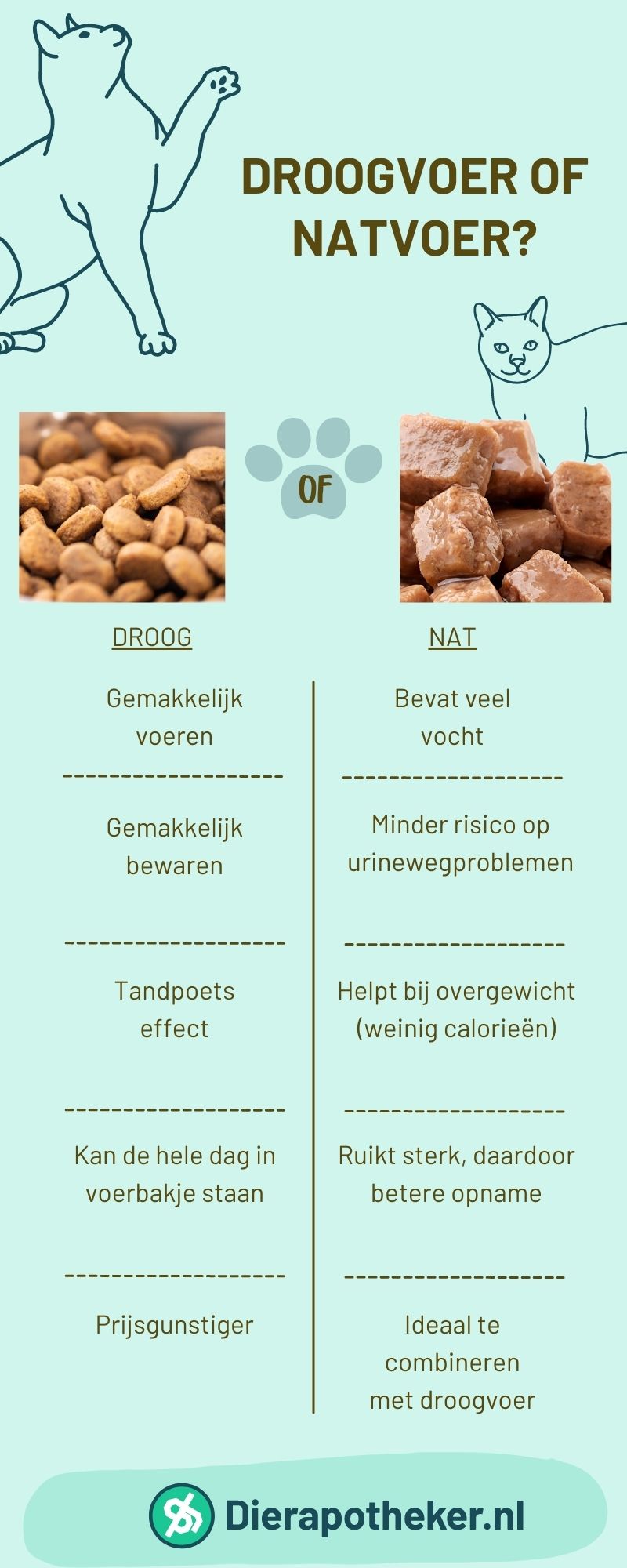 Wat, wanneer en hoeveel voer ik mijn kat en hond? Dierapotheker.nl