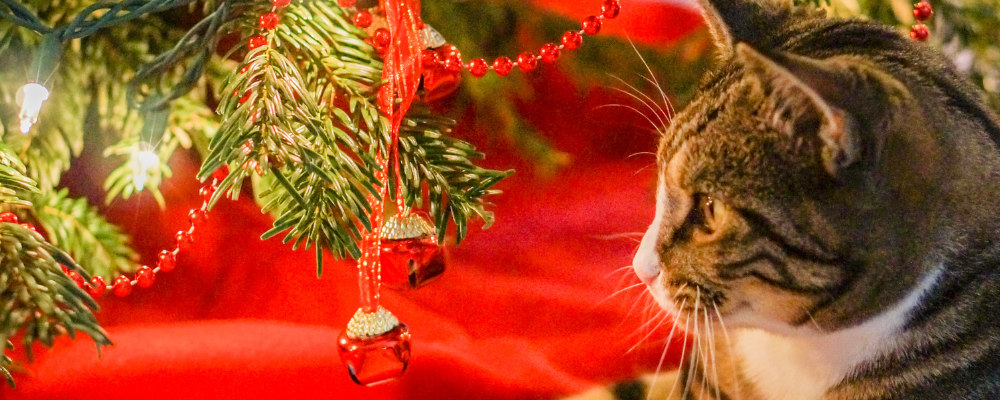 Kat loerend bij kerstboom en kerstballen