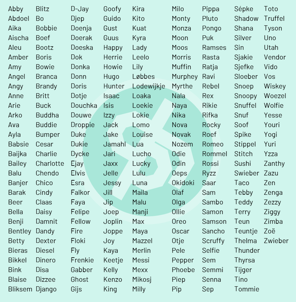 Een lijst met 265 hondennamen