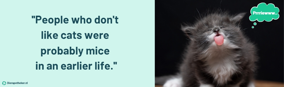 People Who Don't Like Cats Were Probably Mice In A Past Life Quote met foto van een kitten die zijn tong uitsteekt.