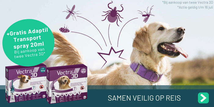 Hond met vlo teek en vligende insecten bescherming door Vectra 3D